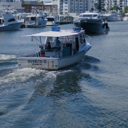100% crop of the 12:1 CineForm encode, Miami canal.